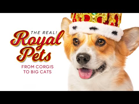 Royal Pets - From Corgis To Big Cats | THE REAL! | GREAT! Free Movies &amp; Shows - Documentary